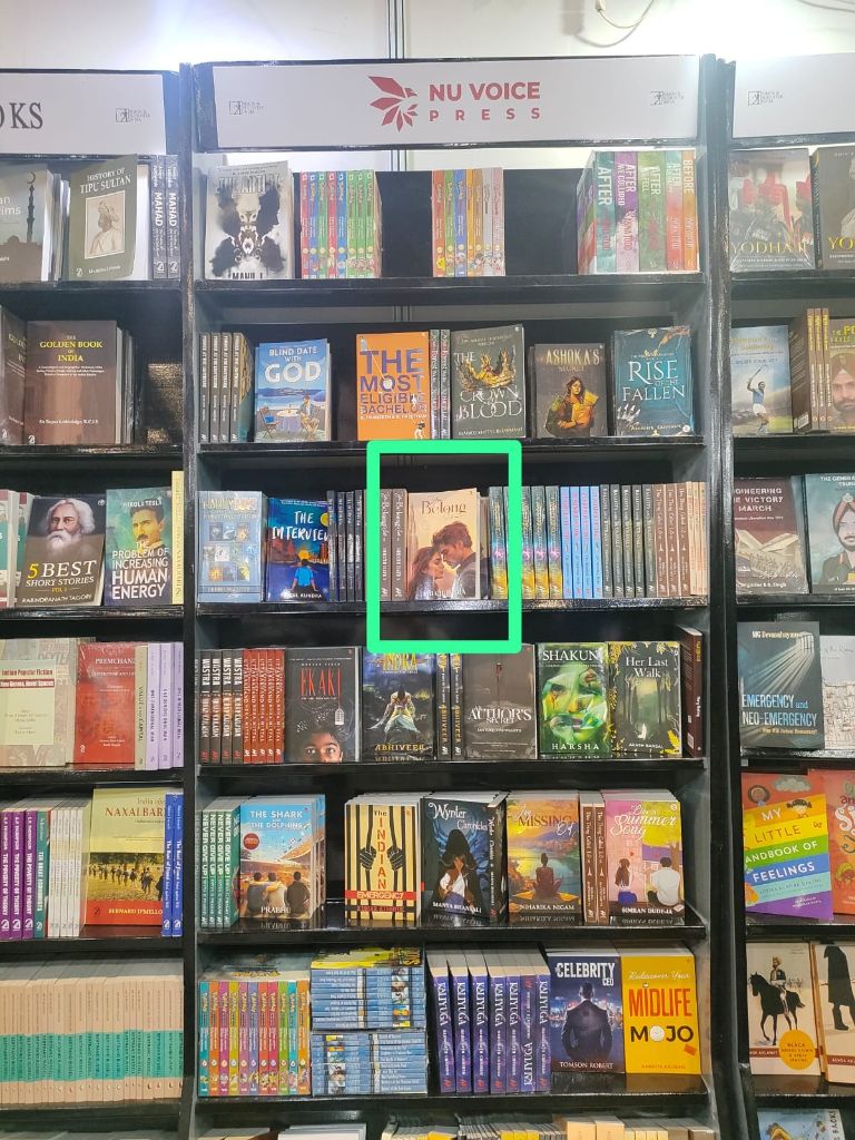 Nu Voice Press Display